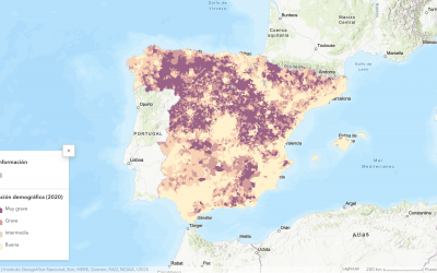 Mapa 174 – Zonificación de los municipios españoles sujetos a desventajas demográficas graves y permanentes